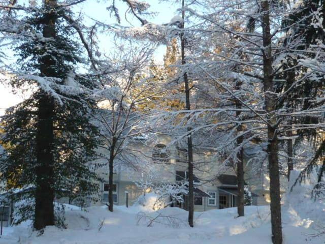 Hakuba Royal Suites Dış mekan fotoğraf