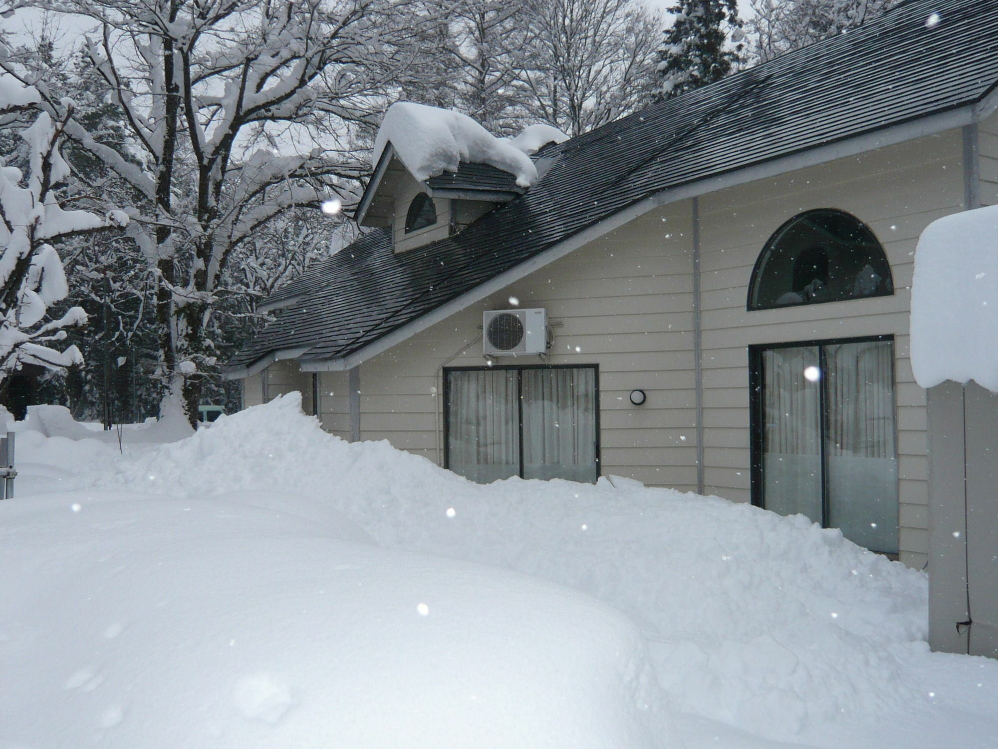 Hakuba Royal Suites Dış mekan fotoğraf